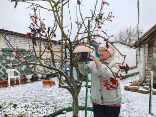 ���������� ���� �����